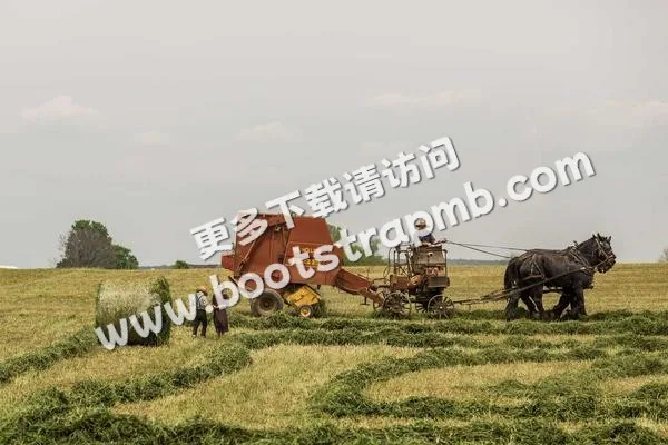 ⊞ Portfolio - 九游娱乐体育直播APP