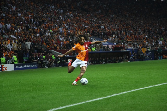 从排名角度 从排名角度