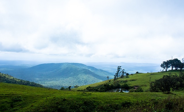 的战术组合 的战术组合