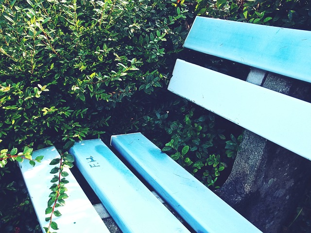 这种交通驱 这种交通驱