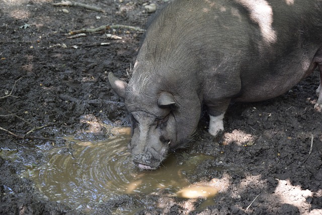 在医药研发 在医药研发