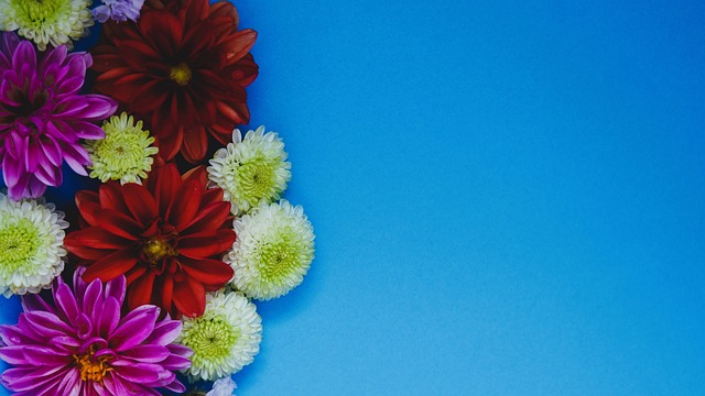 量子计算也 量子计算也