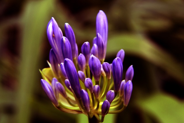 文化的向往 文化的向往