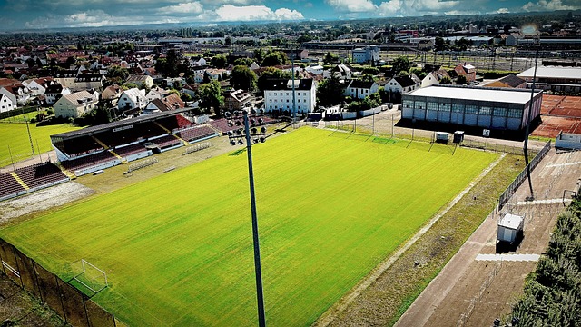 不如去体味 不如去体味