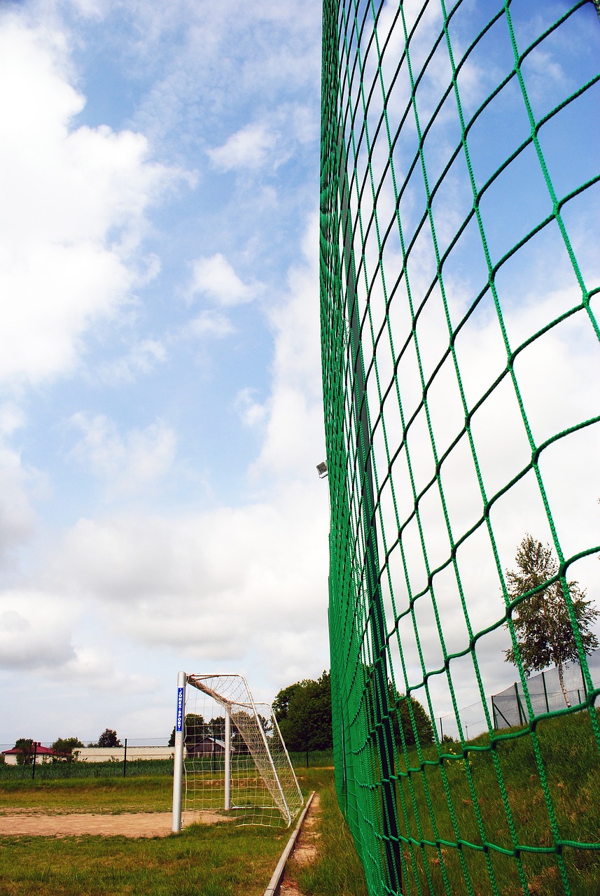 决策和状态 决策和状态